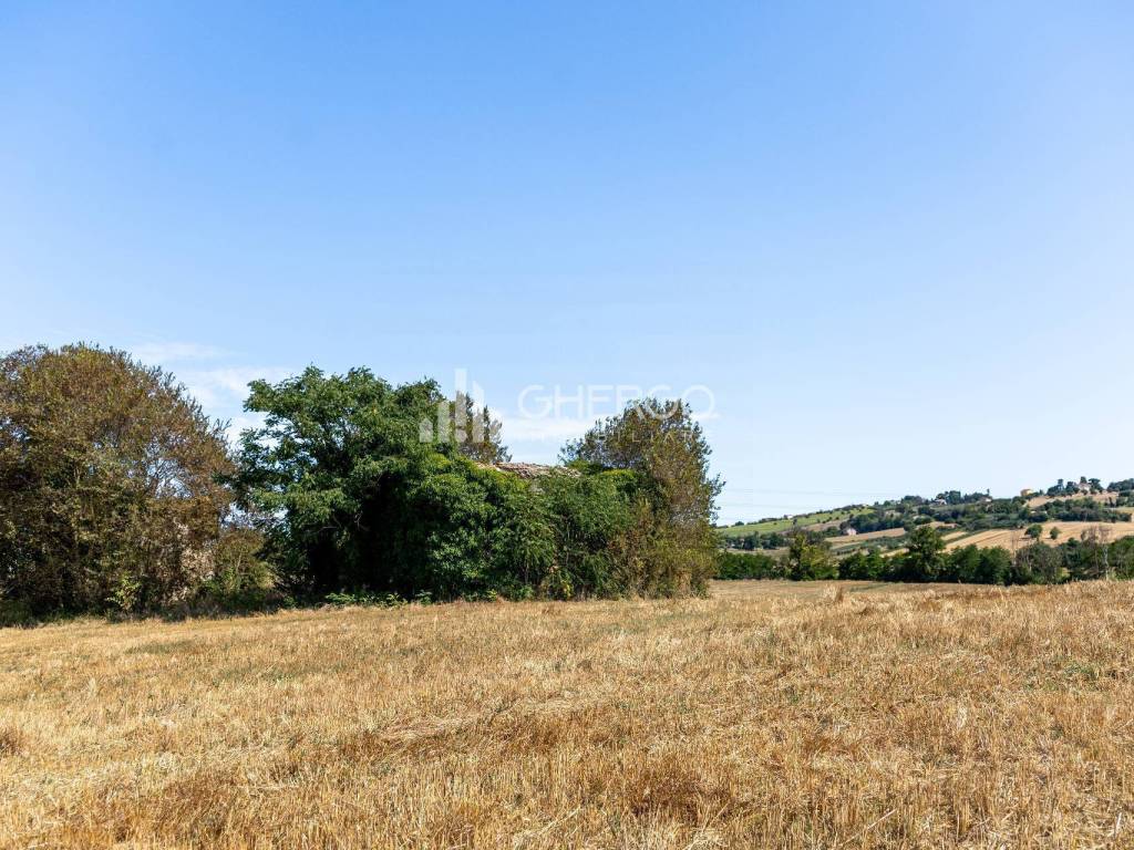 Rustico / casale a Osimo in Via della Sbrozzola - Foto 5