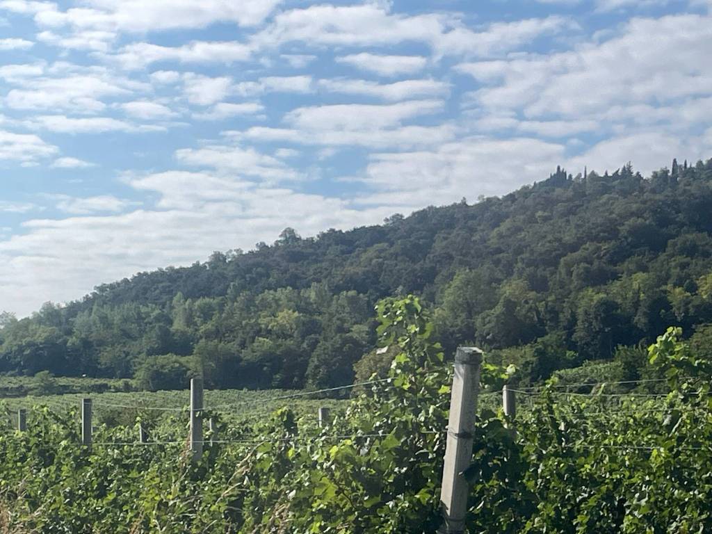 Terreno a Pastrengo in Località Pol di Piovezzano - Foto 3