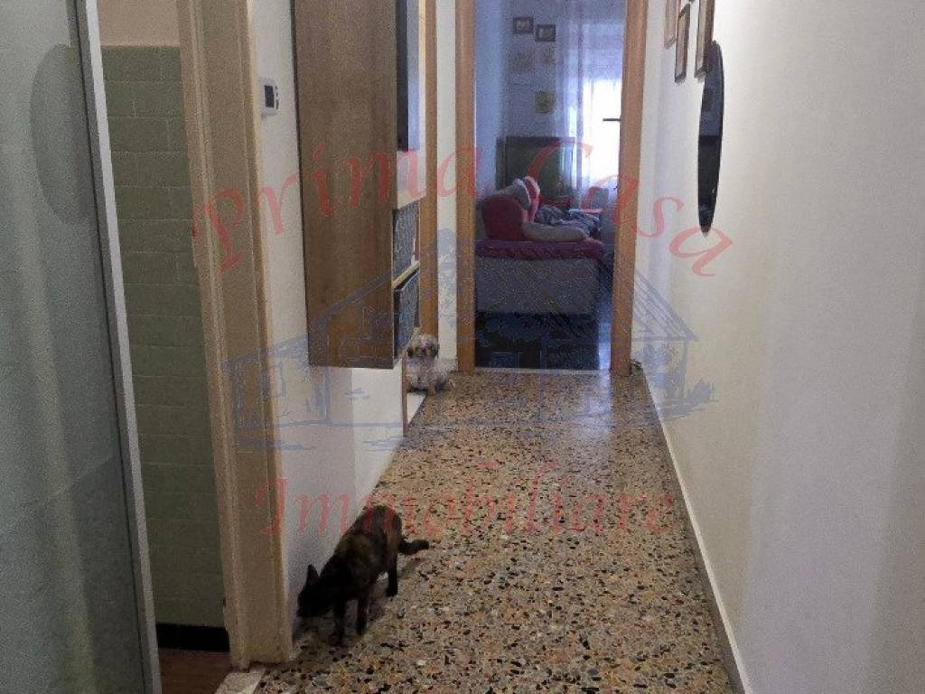 Appartamento a Alba in Via Ognissanti - Foto 5
