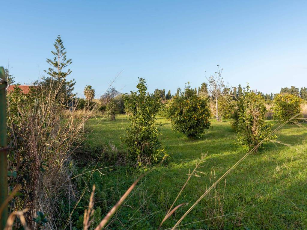 Terreno a Lascari in Via piane vecchie - Foto 4