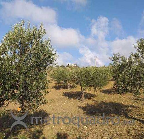 Terreno a Sciacca in C.Da Gaddemi - Foto 3