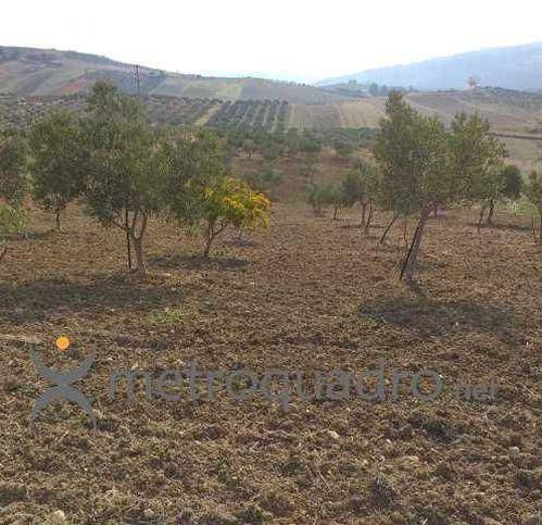 Terreno a Sciacca in C.Da Gaddemi - Foto 4