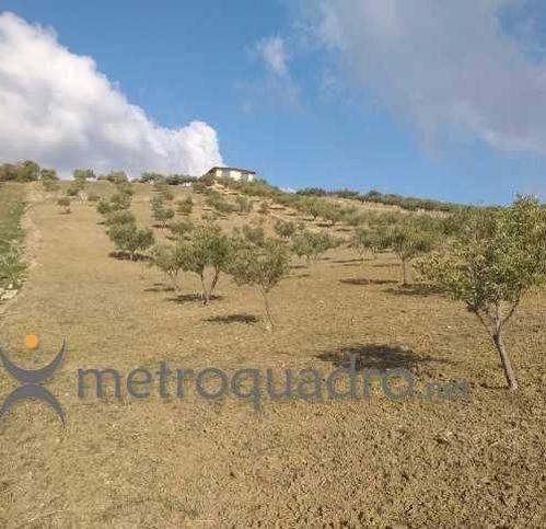 Terreno a Sciacca in C.Da Gaddemi - Foto 5