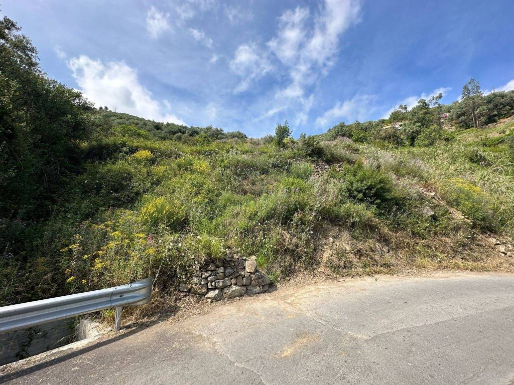 Terreno a Taggia in Regione Sorini - Foto 3