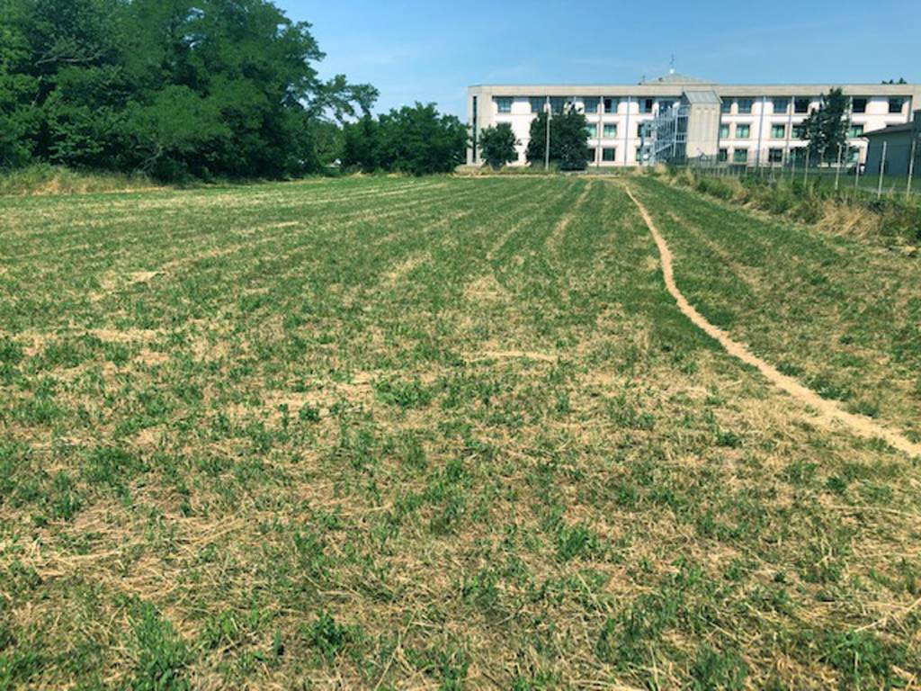 Terreno a Tradate in Via Monte Nero - Foto 3