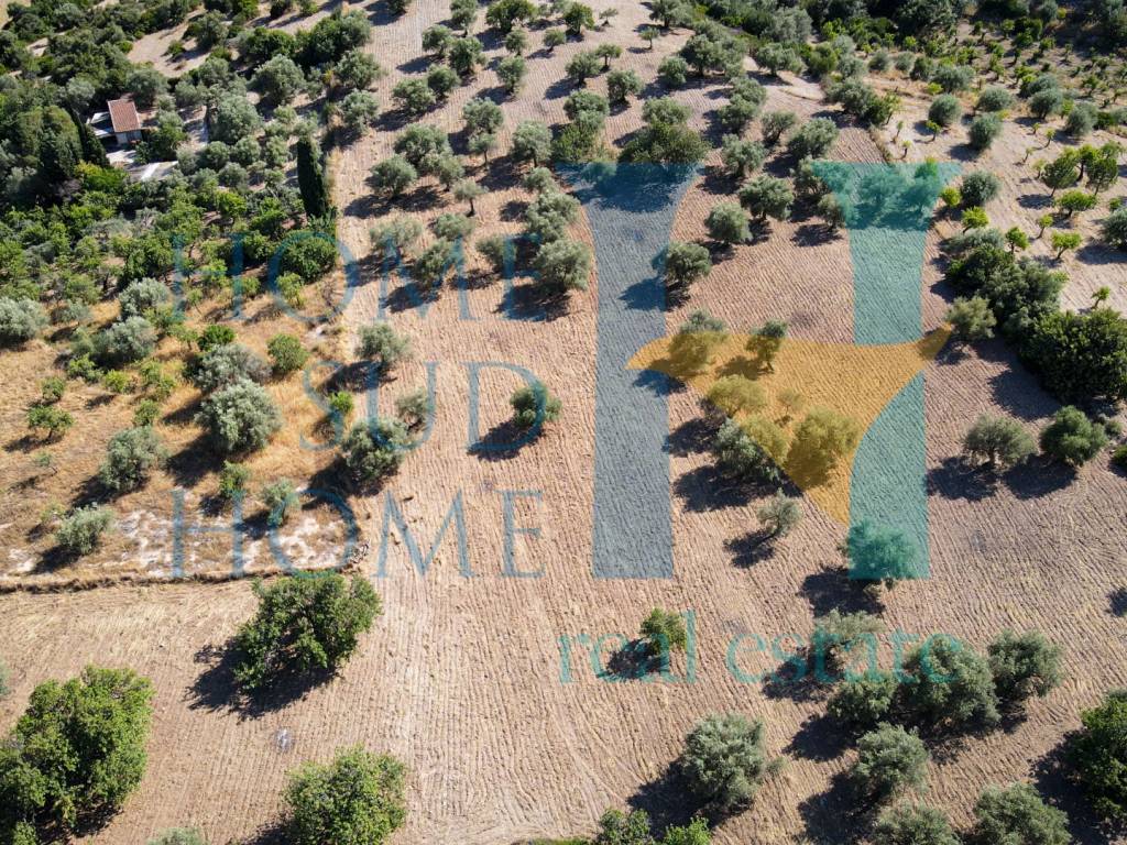 Terreno a Noto in Via Tommaso Fazello, 228 - Foto 2