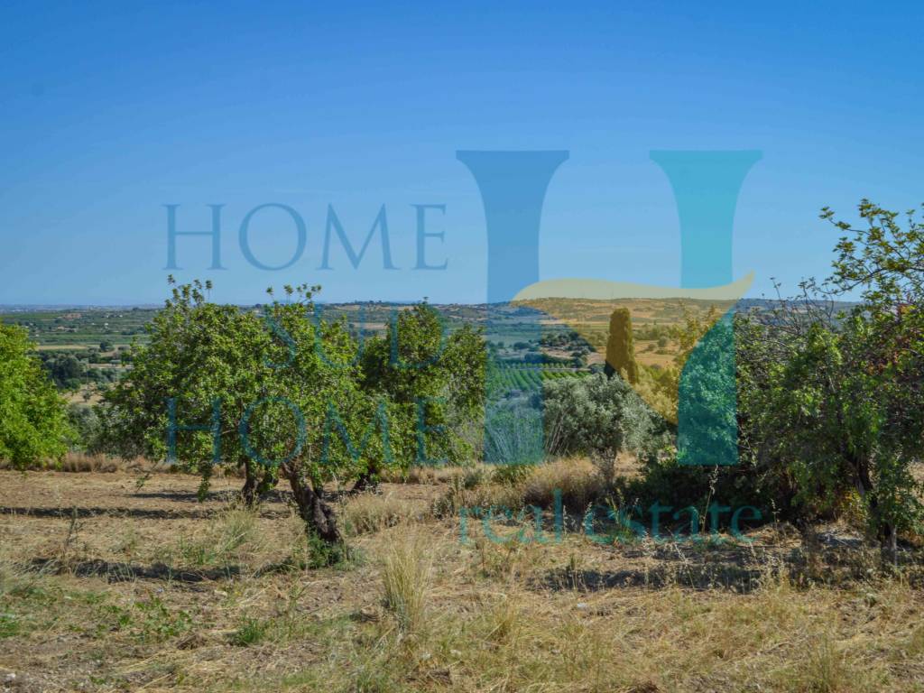 Terreno a Noto in Via Tommaso Fazello, 228 - Foto 3