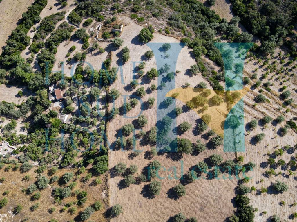 Terreno a Noto in Via Tommaso Fazello, 228 - Foto 4