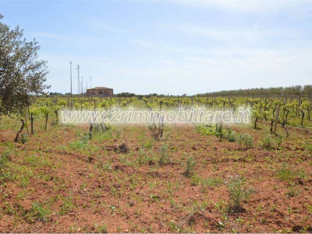 Rustico / casale a Mazara del vallo in Contrada Santa Maria - Foto 2