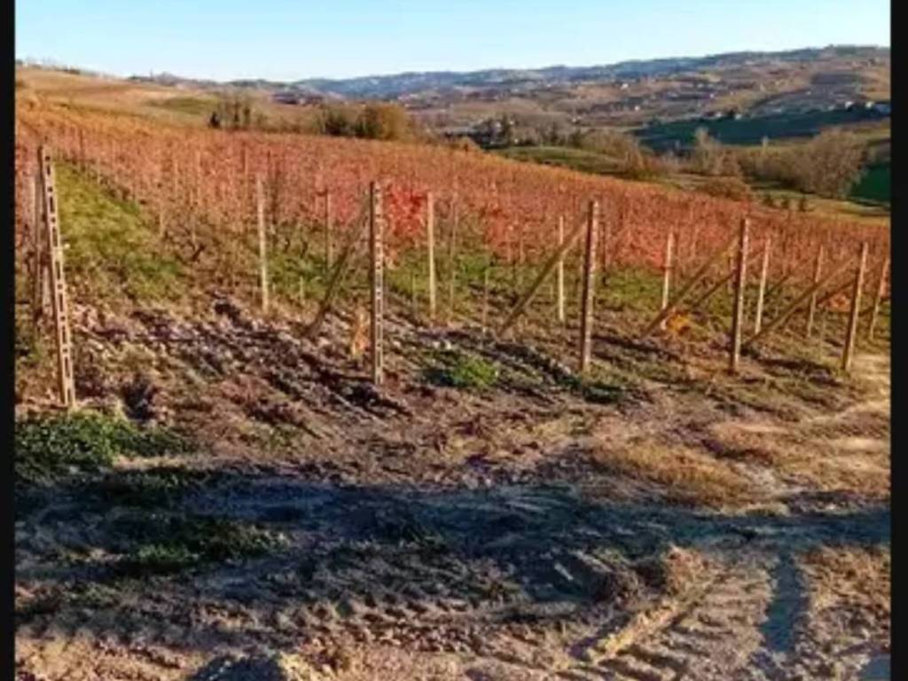 Rustico / casale a Costigliole d'asti in Strada Garera - Foto 2