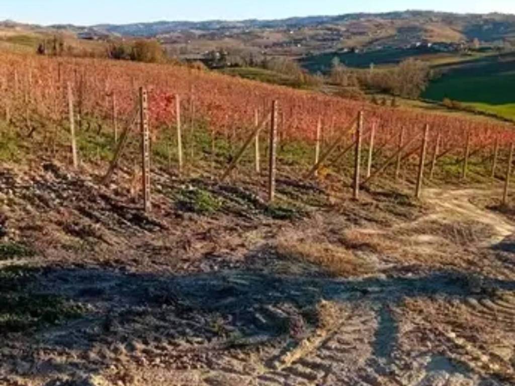 Rustico / casale a Costigliole d'asti in Strada Garera - Foto 3
