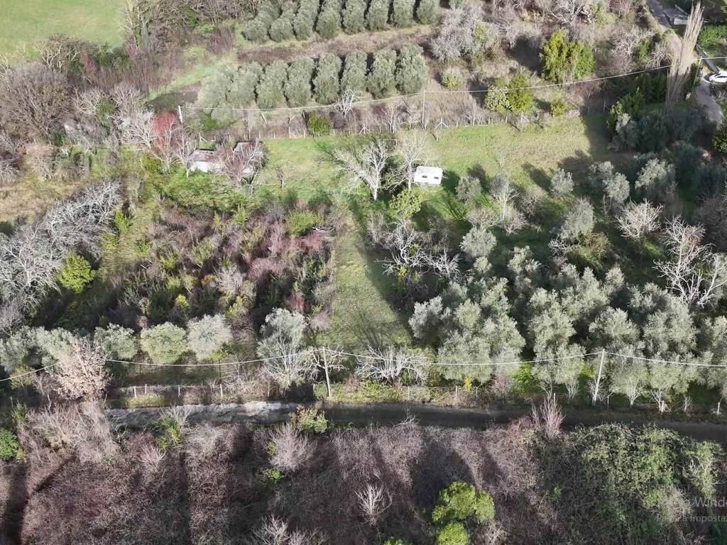 Terreno a Poggio nativo in cornazzano - Foto 2