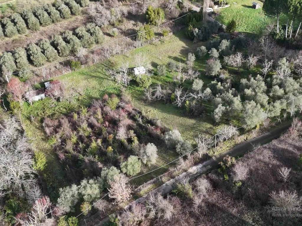 Terreno a Poggio nativo in cornazzano - Foto 3