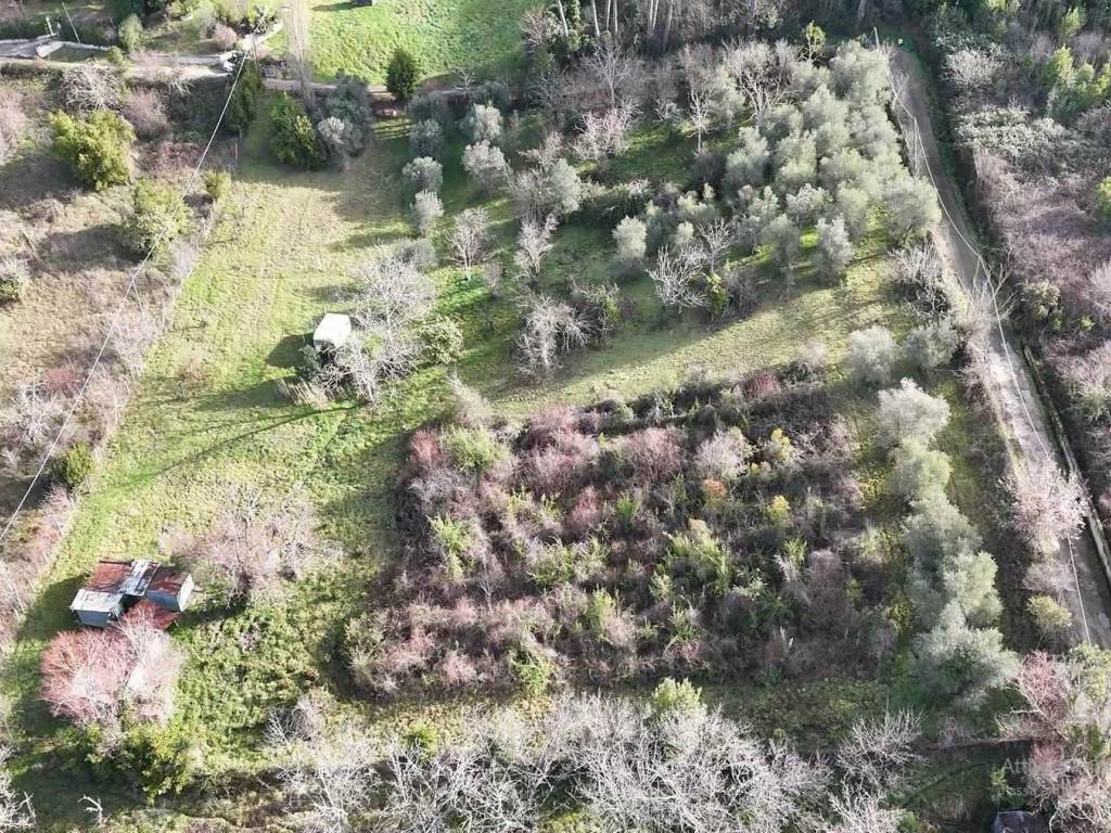 Terreno a Poggio nativo in cornazzano - Foto 4