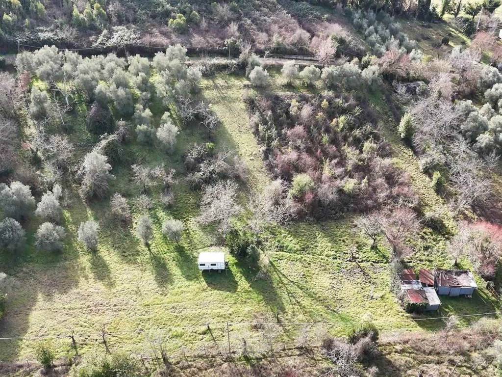 Terreno a Poggio nativo in cornazzano - Foto 5