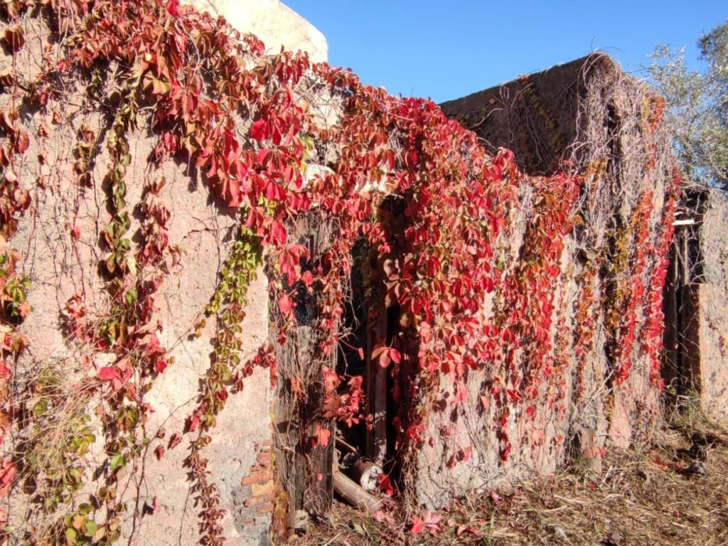 Casa indipendente a Acireale in Via Isnello, 104 - Foto 4