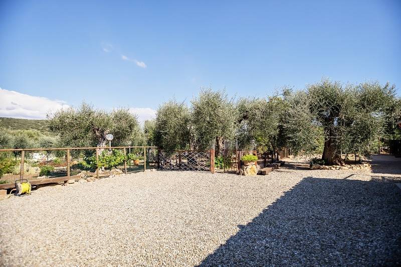 Villa a Orbetello - Foto 2