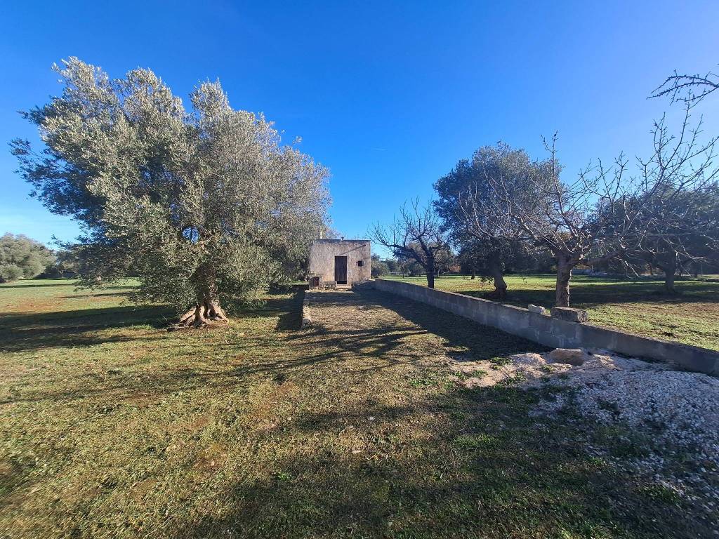 Rustico / casale a Castellana grotte in Strada Comunale Rosatella - Foto 3