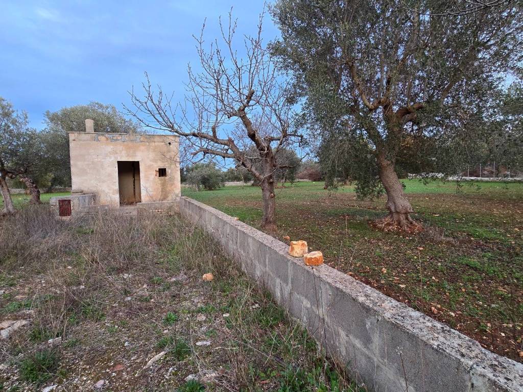 Rustico / casale a Castellana grotte in Strada Comunale Rosatella - Foto 4