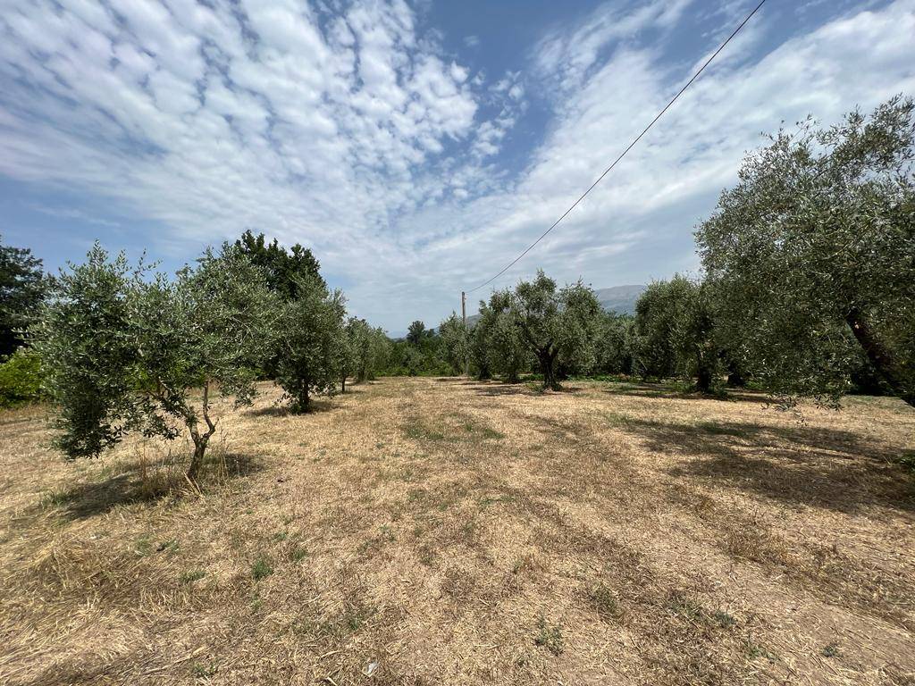 Rustico / casale a Mignano monte lungo in Via Moscuso - Foto 2