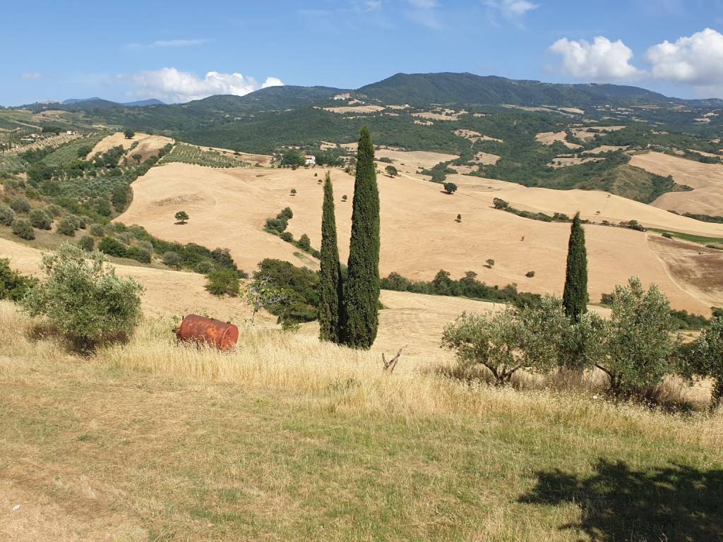 Rustico / casale a Cinigiano in Via Roma - Foto 5
