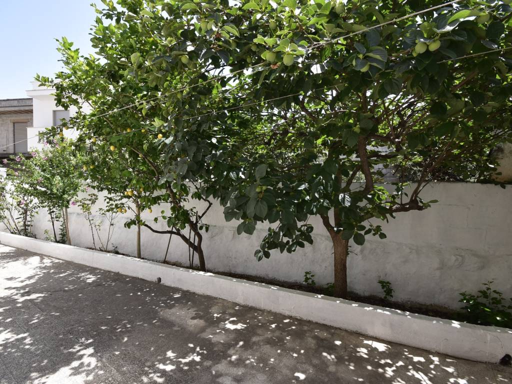 Appartamento a Carovigno in Via Marcello - Foto 4