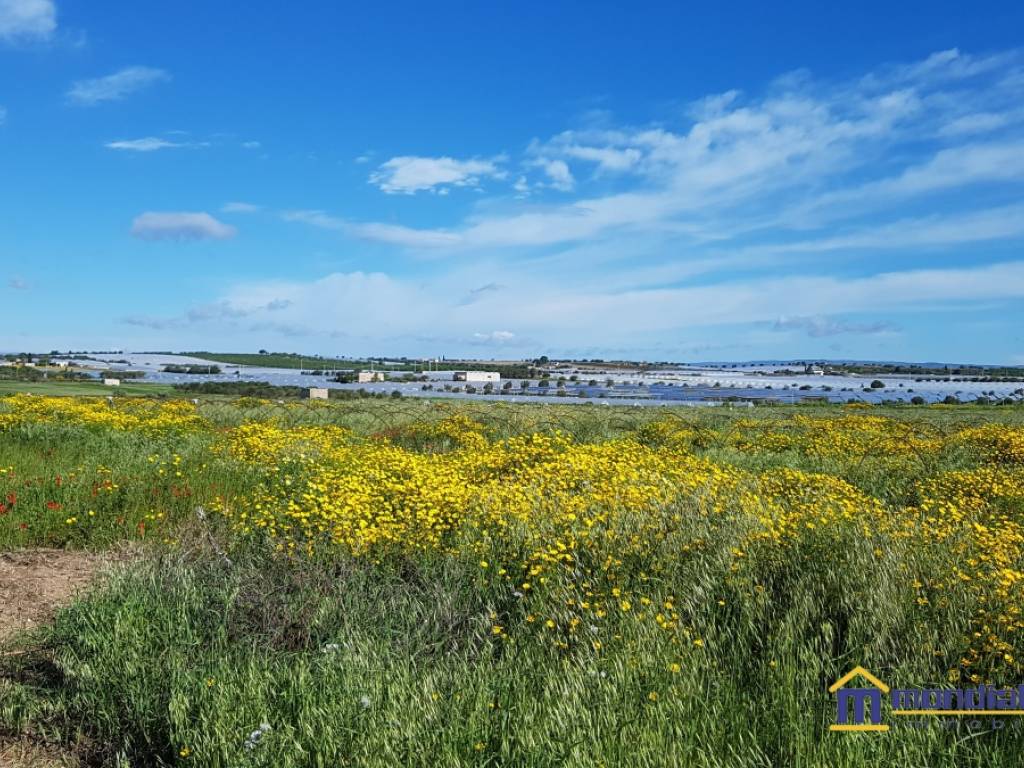 Terreno a Noto - Foto 2