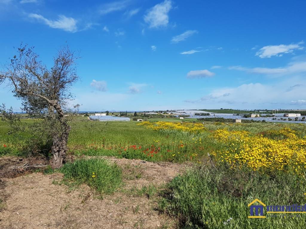 Terreno a Noto - Foto 3