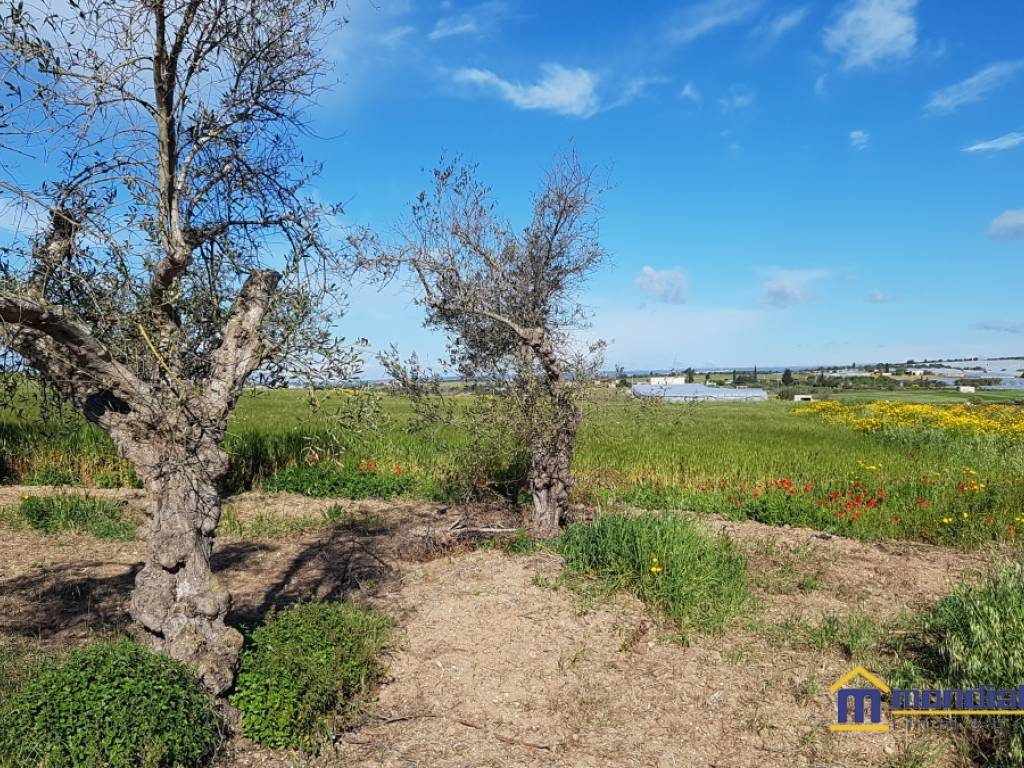 Terreno a Noto - Foto 4