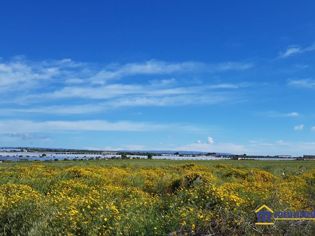 Terreno a Noto - Foto 5