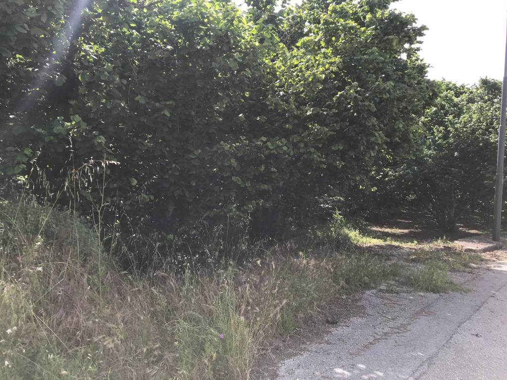 Terreno a Avellino in Contrada Sant'Eustachio Pennini, 46 - Foto 2