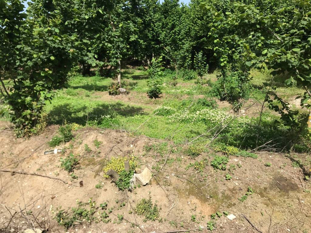 Terreno a Avellino in Contrada Sant'Eustachio Pennini, 46 - Foto 3