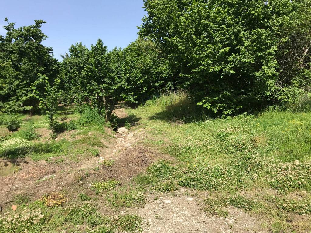 Terreno a Avellino in Contrada Sant'Eustachio Pennini, 46 - Foto 5