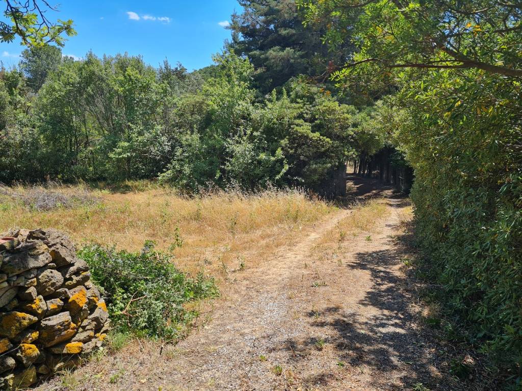 Appartamento a Campiglia marittima - Foto 4