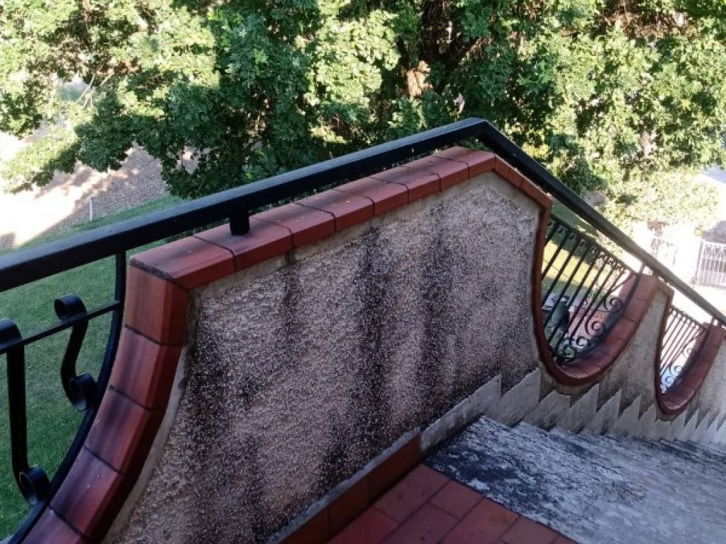 Villa a Jesi - Foto 3