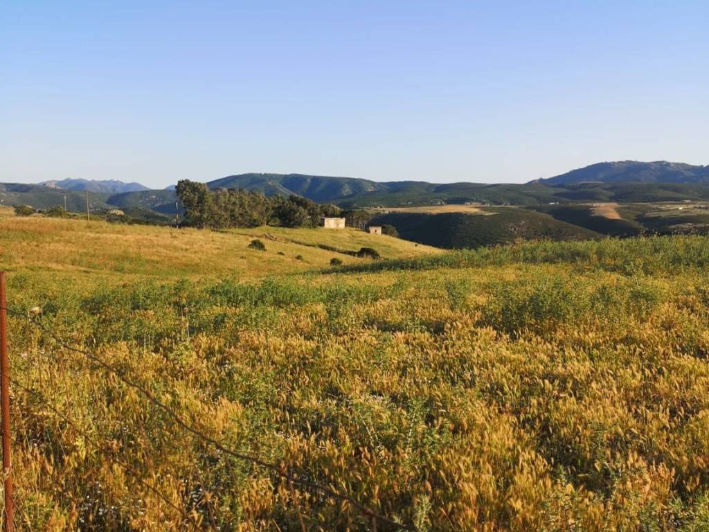 Terreno a Villasalto in Strada Provinciale di Villasalto - Foto 2