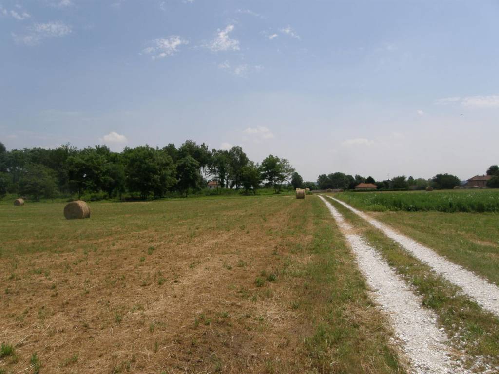 Rustico / casale a Sesto calende - Foto 4