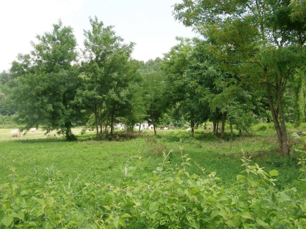 Rustico / casale a Sesto calende - Foto 5