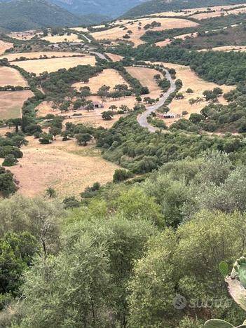 Terreno a Perfugas - Foto 2