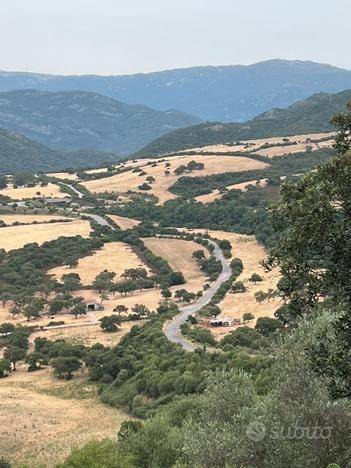 Terreno a Perfugas - Foto 3