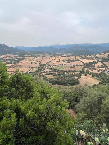 Terreno a Perfugas - Foto 5