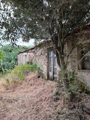 Terreno a Perfugas - Foto 4