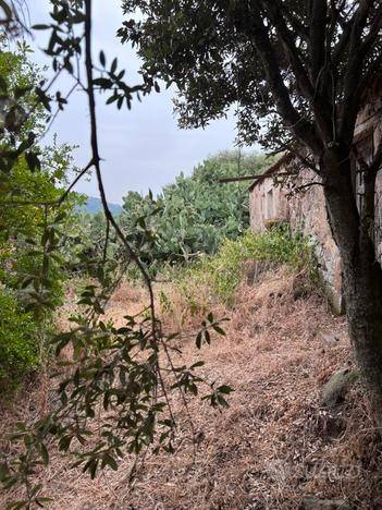 Terreno a Perfugas - Foto 5