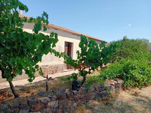 Terreno a Perfugas - Foto 2