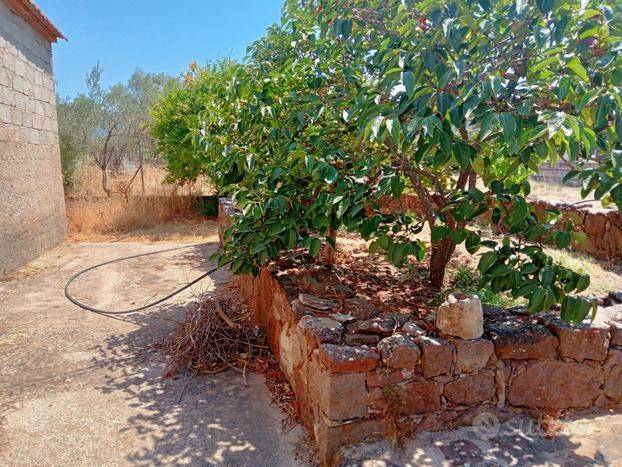 Terreno a Perfugas - Foto 5