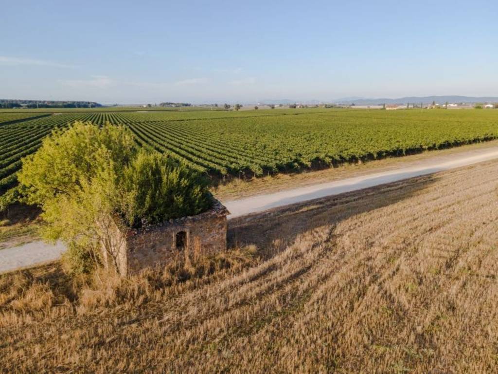 Appartamento a Campiglia marittima in Strada Comunale Di Casalappi, 42 - Foto 2