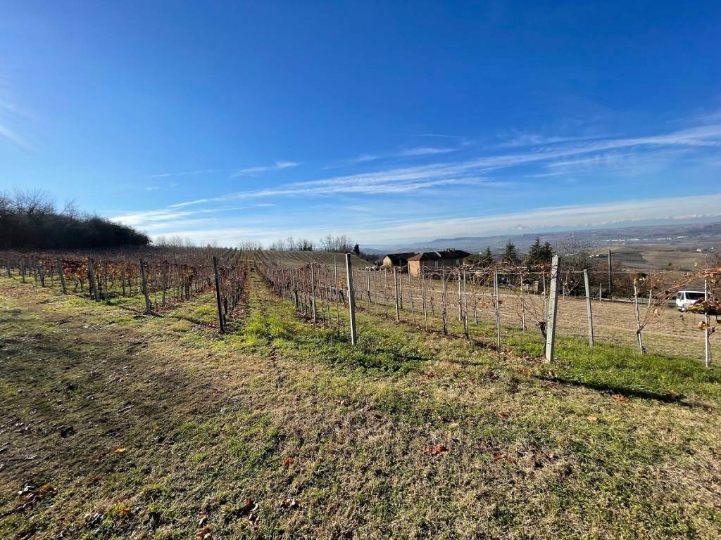 Terreno a Costigliole d'asti in Strada Annunziata - Foto 2