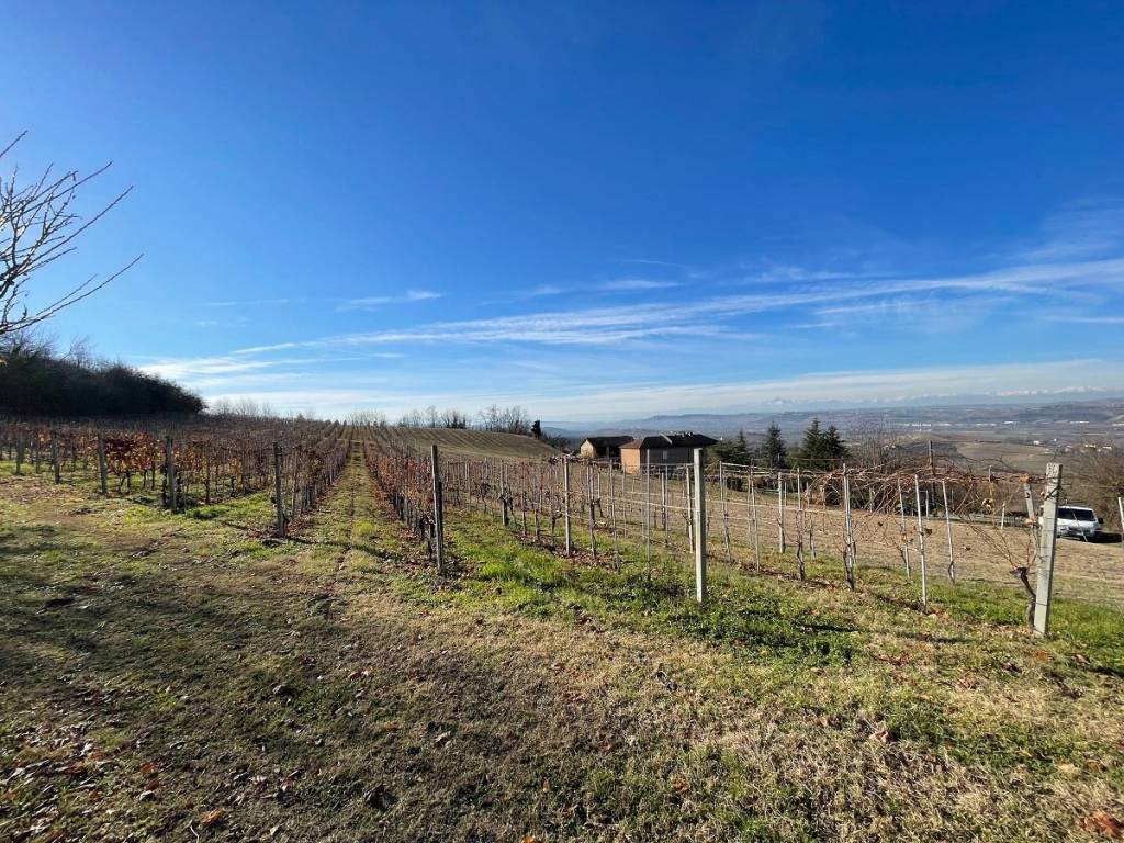 Terreno a Costigliole d'asti in Strada Annunziata - Foto 3