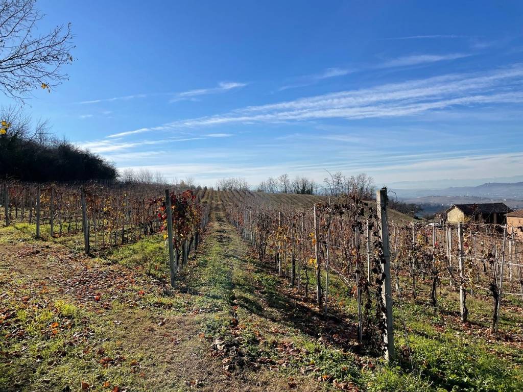Terreno a Costigliole d'asti in Strada Annunziata - Foto 4
