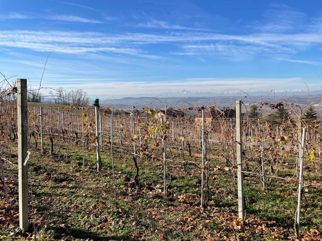 Terreno a Costigliole d'asti in Strada Annunziata - Foto 5